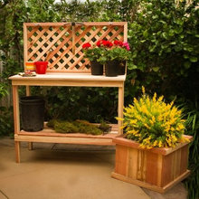 Landscape Ideas