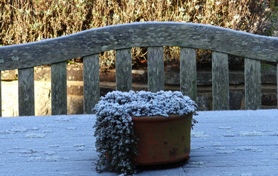 Ask a Garden Designer: What Do I Need to Do in the Garden in February?