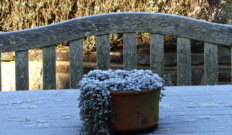 Ask a Garden Designer: What Do I Need to Do in the Garden in February?