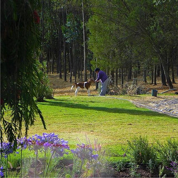 Hacienda Cochauco Ilalo