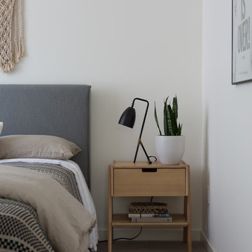 All Modern Black Lamp with Snake Plant and Macrame Wall Hangin