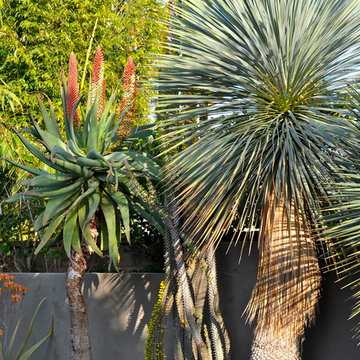 Via de La Paz Interior Design & Remodel