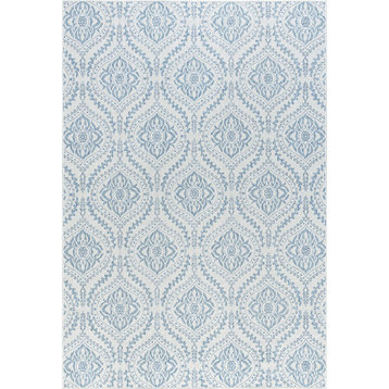 Dionne Transitional Damask Cream/Blue Rectangle Indoor/Outdoor Area Rug, 8'x10'