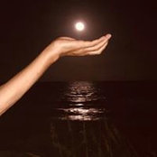 Shelley Munnery's photo