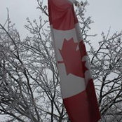 Sandra Cyr's photo