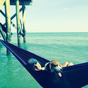 Sara Donahue's photo