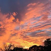 Roxie Jones's photo