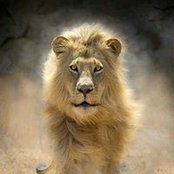 Caroline Bergman's photo