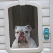 Kim Baldwin's photo