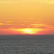 Foto von janefish