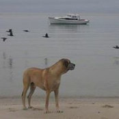 Foto von Debbie Gorman