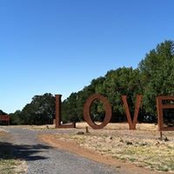 Donna Bostwick Albor's photo