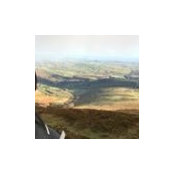 Myob Myob's photo