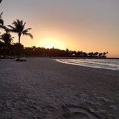Dana Cody's photo