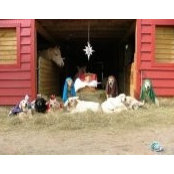 Sharon Smith's photo