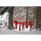 Nancy MacKeigan's photo