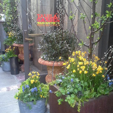 Philadelphia Gardens