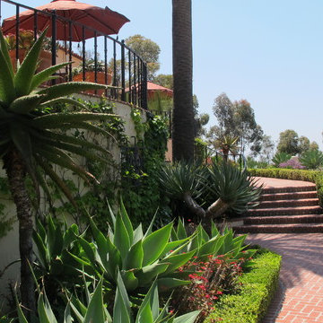 EL Mirador Renovation