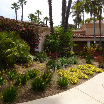 Lawn conversion in Fairbanks Ranch