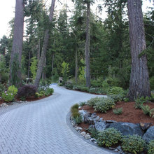 driveway landscape