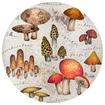 Andreas Gail Green Mystical Mushroom Jar Opener