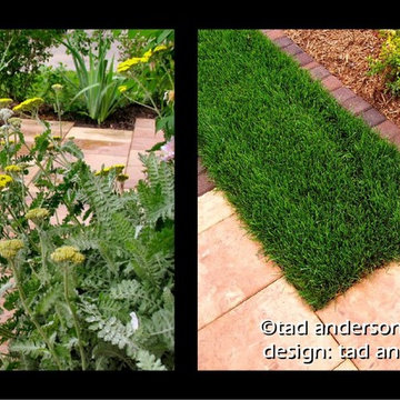 Paver Walk Details. Minnesota Landscape Design.