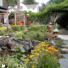 Cindy Reiter's Ideas
