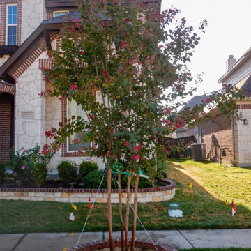 Flowering Trees & Shrubs