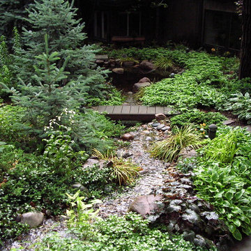 Koi Ponds and Water Gardens