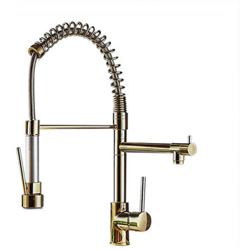 Brewst Luxury Pull Out Sprayer Kitchen Faucet Single Hole Double Spout