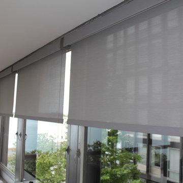 Lake Shore Drive-Gray Designer Roller and Screen Shades