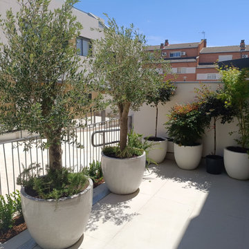 Jardín residencial con plantación natural y césped en Pozuelo de Alarcón