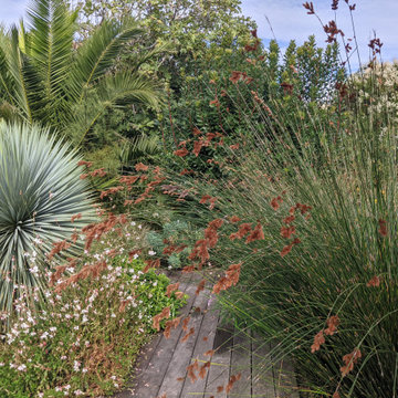 Jardin Exotique - Le jardin sur les Dune à l’île d’Oléron