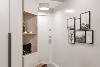 Design ideas for a contemporary entryway in Moscow.