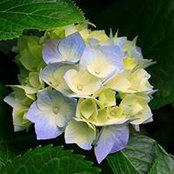 Jeanette Gilmore's photo