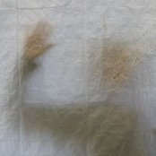 Nicole Rabuss foto