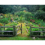Brent Johnson's photo