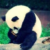 Shahidah شهيده's photo