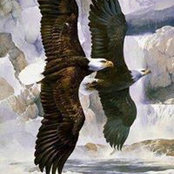 Cheryl Licht-Olson's photo