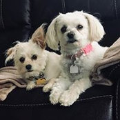 Debby Batchelder's photo