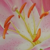 Janice Rouse's photo