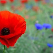 Angela Codling's photo