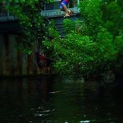 Eric Vincent's photo