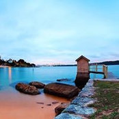 Debbie Stivano's photo