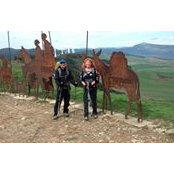Roger Remedios's photo