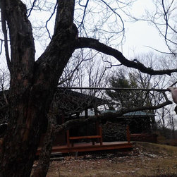 Tree Restoration - Products