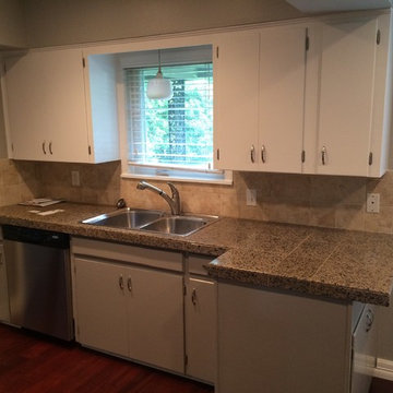 Transitional Full Home Paint