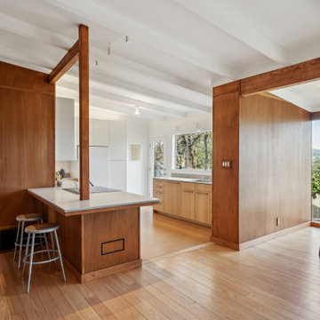 Mill Valley House