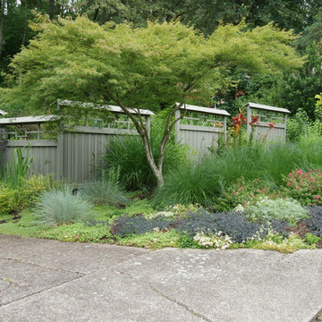 Plant Arrangements
