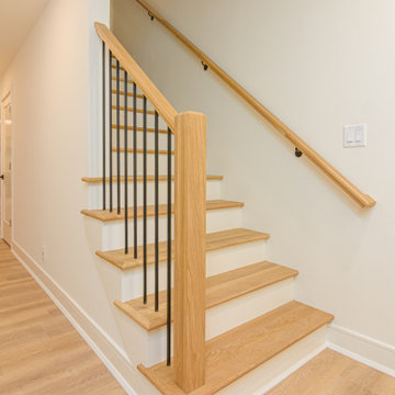 Biltmore Basement Renovation